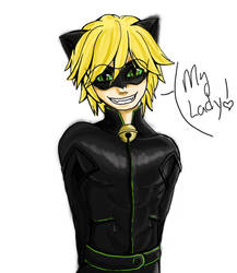 Chat Noir