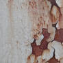 Rust Texture 2