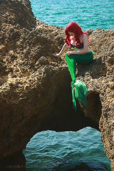 Ariel's adventure