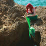Ariel's adventure