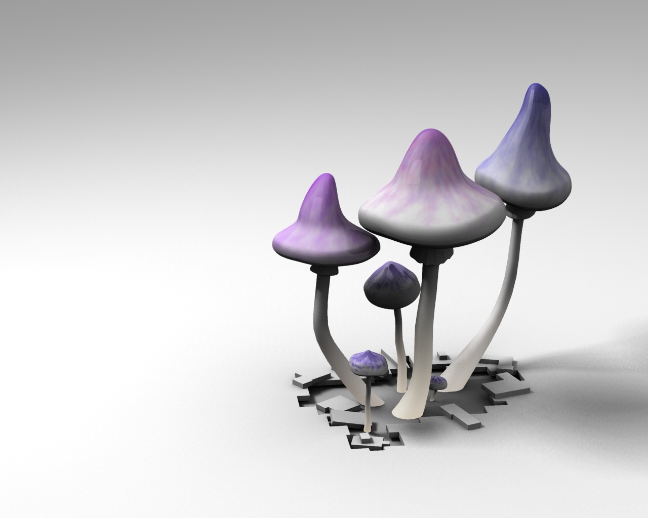 Mushrooms