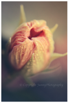 Tendresse by JunnyPhotography