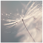 Angel sight by JunnyPhotography