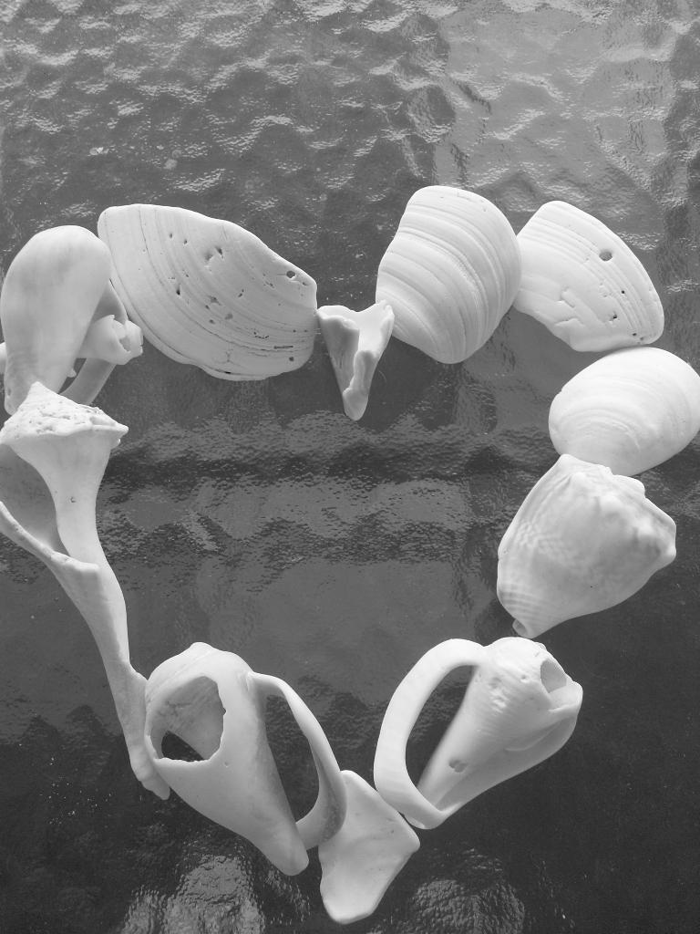 Shell Heart. by Phantom-Of-The-Rain on DeviantArt