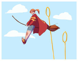 Ginny the seeker