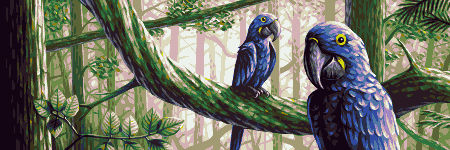 Hyacinth Macaws