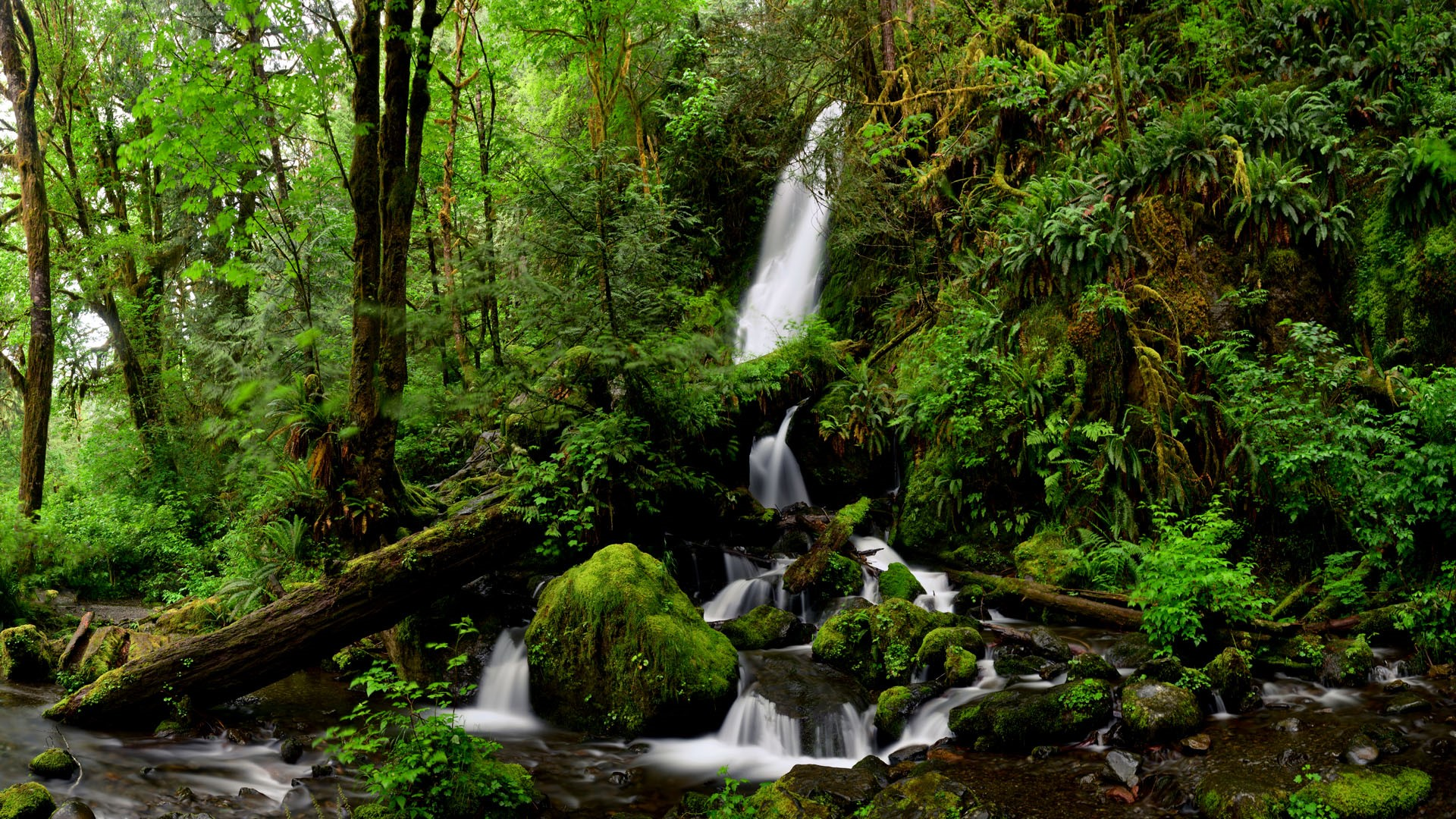 Nationalpark 1