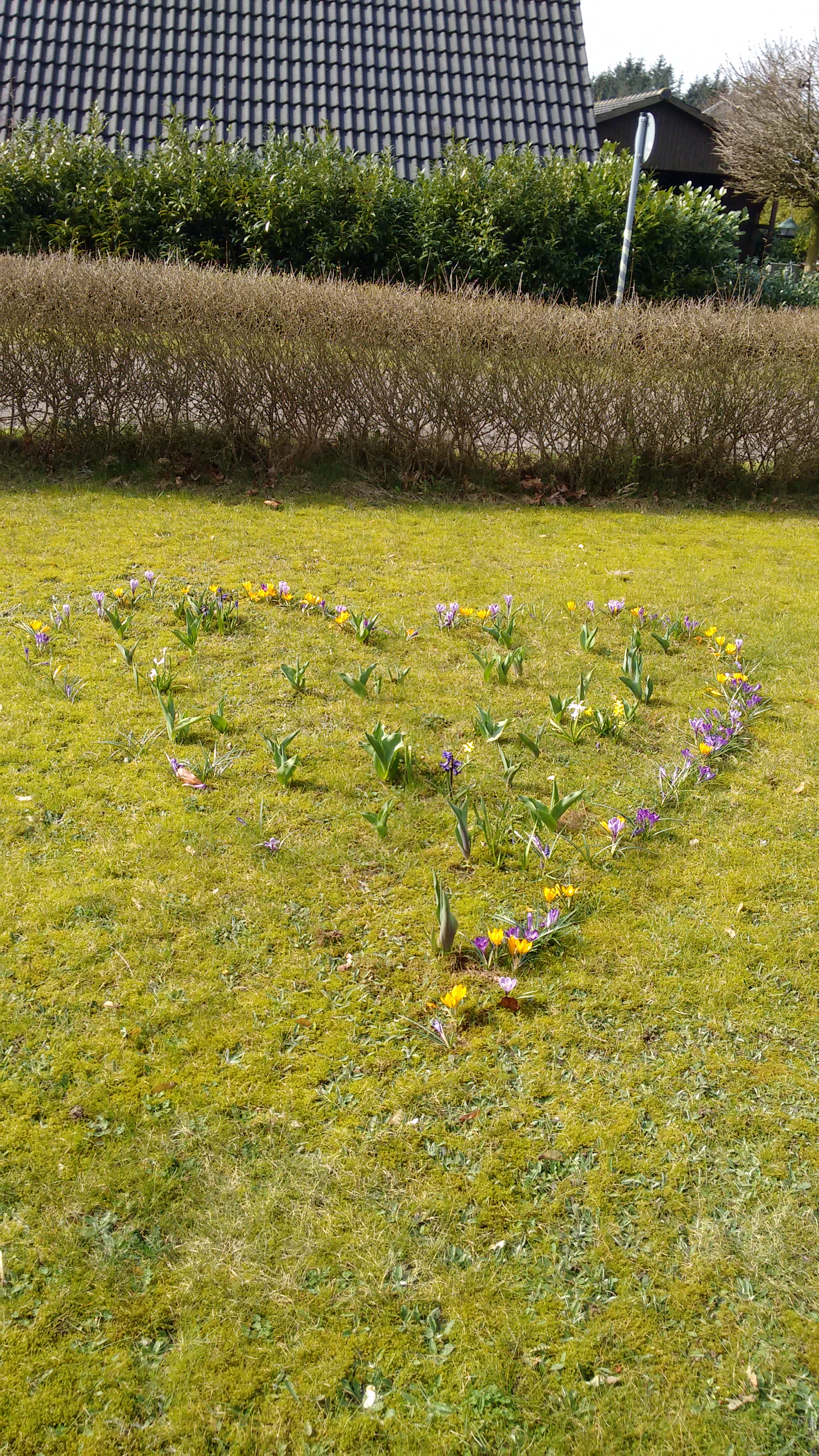 Heart of flowers