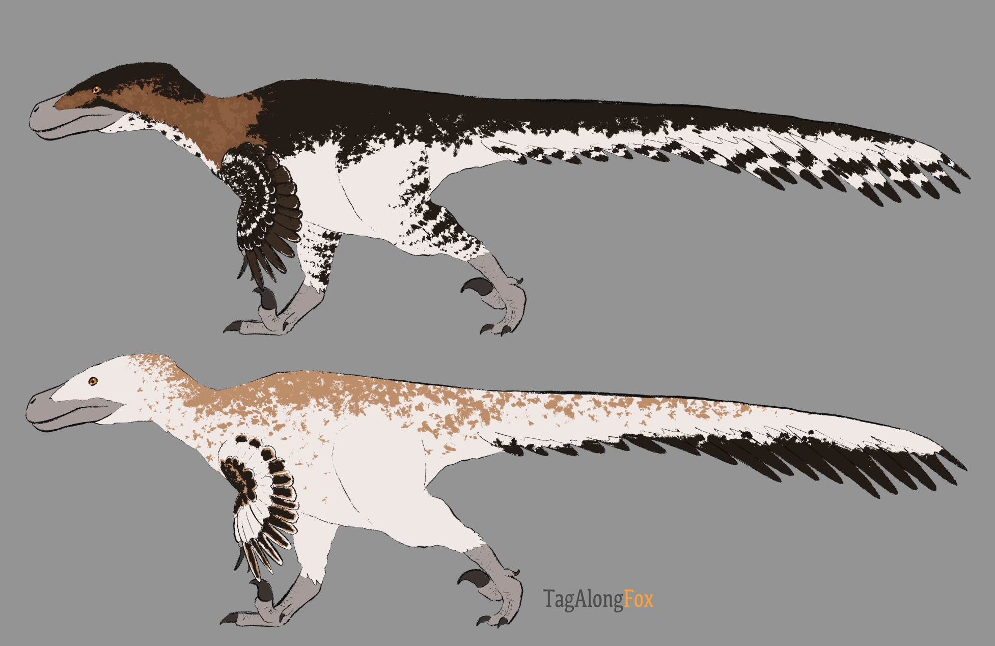 Utahraptor Designs by TagAlongFox on DeviantArt