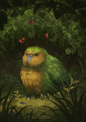 Kakapo