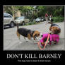 Beagles trying to kill Barney