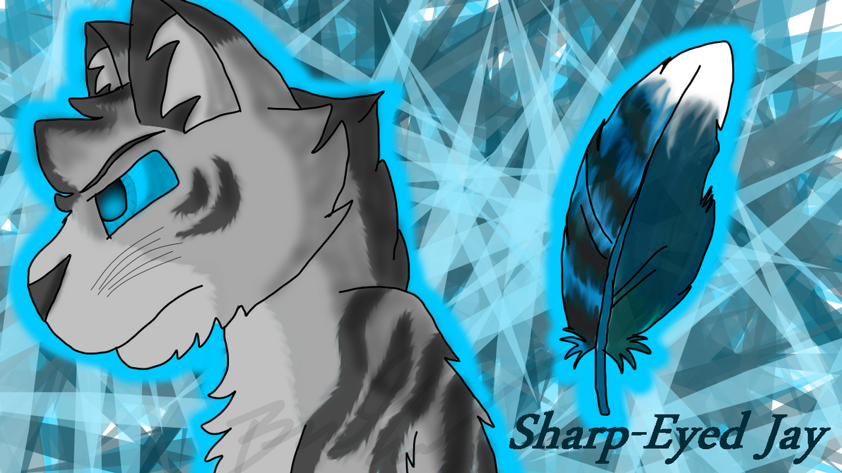 Sharp Jay Face Sharp-Eyed Jay by LionKingWarriors561 on DeviantArt