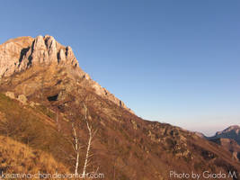 Tuscany Landscape 2