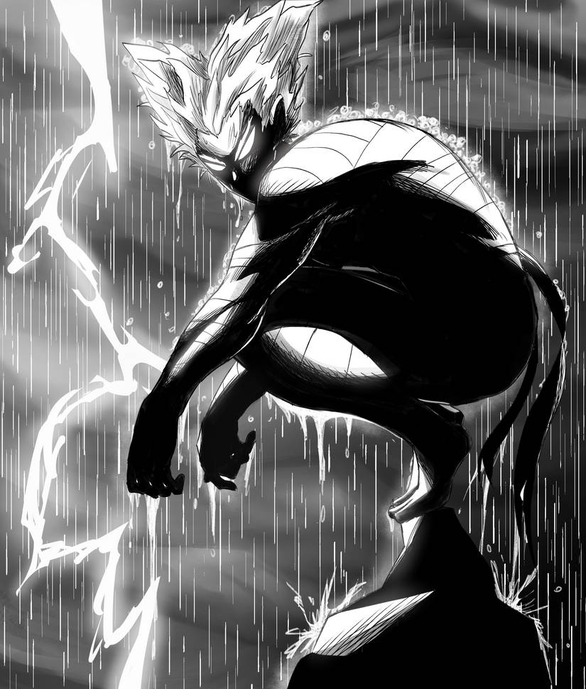 Garou Inflation Garou by Murunni1 on DeviantArt
