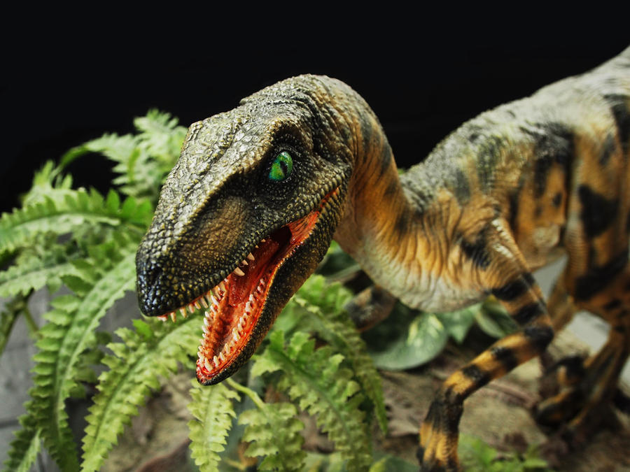 Serpent Raptor Raptor by ShutterSerpent on DeviantArt