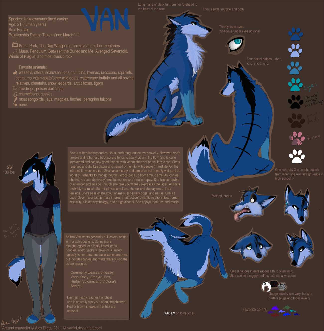 Van Reference Sheet