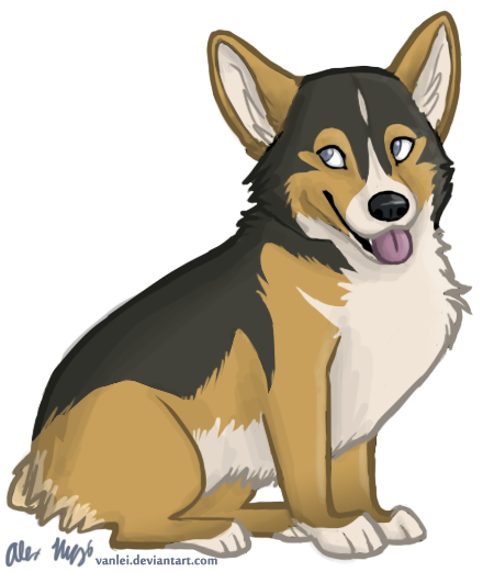 Corgidess doodle