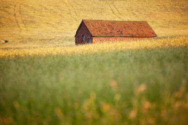 Little Barn Exmoor