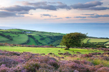 Porlock to Culbone