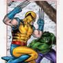 Wolverine vs Hulk - Marvel Bronze Age