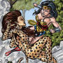 DC: Women of Legend - Wonder Woman Vs. Cheetah