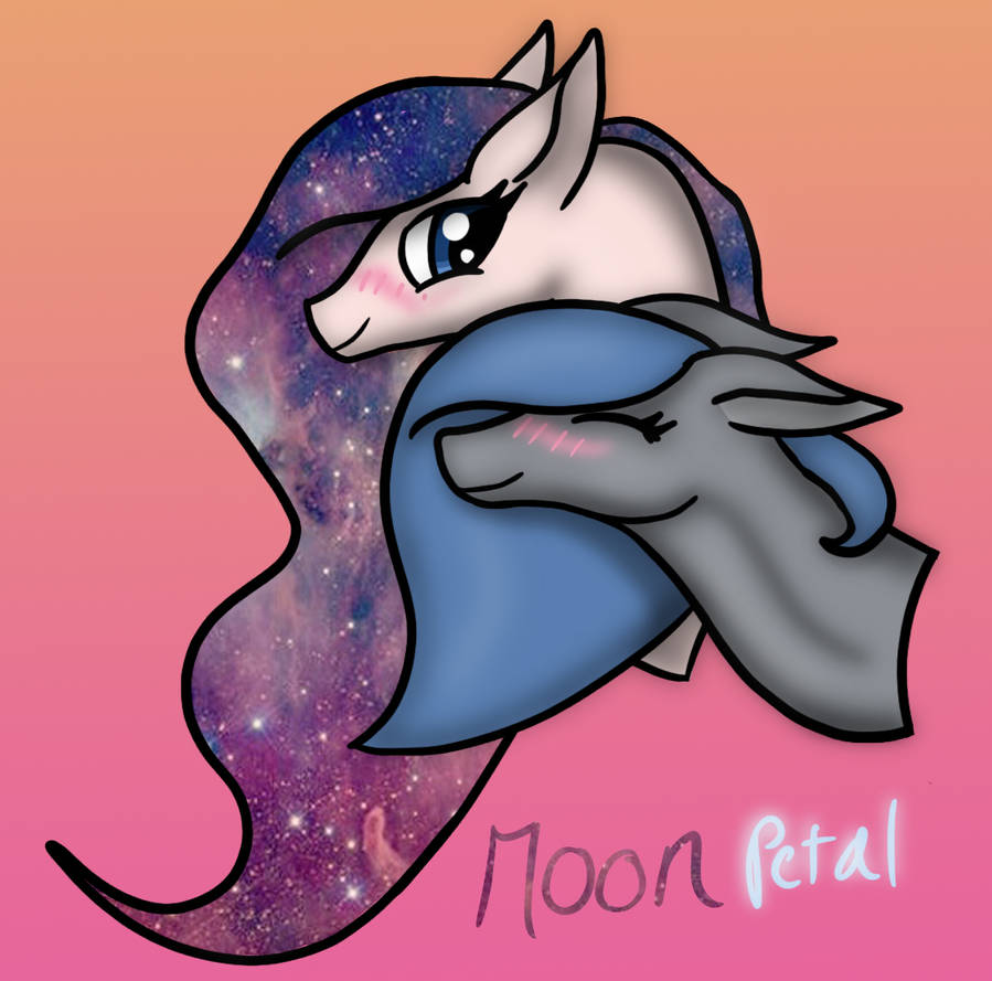 MoonPetal ship by Zeniththeskywing on DeviantArt