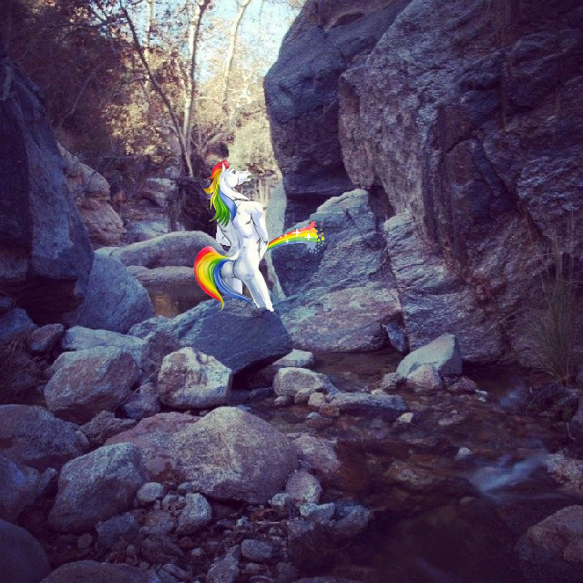 Rae's Rainbow Stream