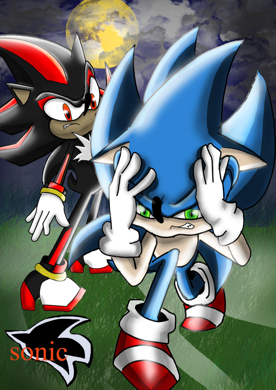 Sonic Transform Werehog By Zemlasaga On Deviantart. 