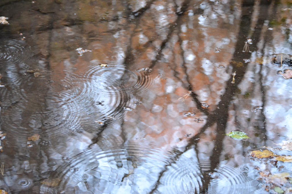 Ripple Reflections by IAmDeadFeathers on DeviantArt
