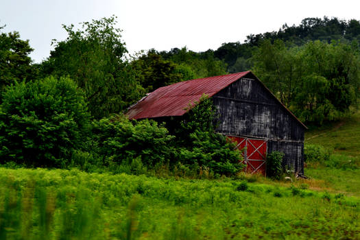 Kentucky Barn