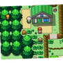 Pokemon Mysteries - Route 704