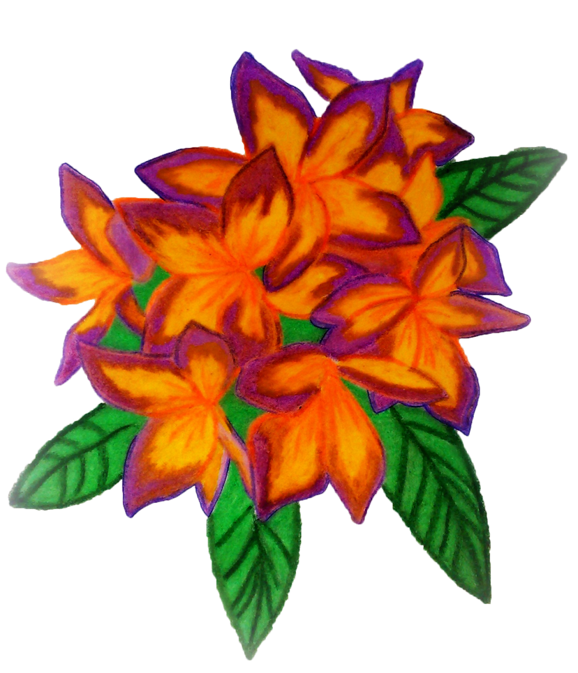 kalachuchi by redtelecaster on DeviantArt