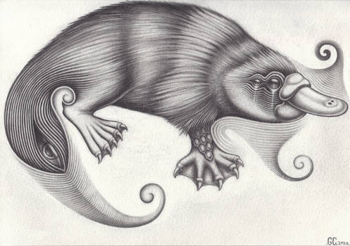 Psychedelic Platypus