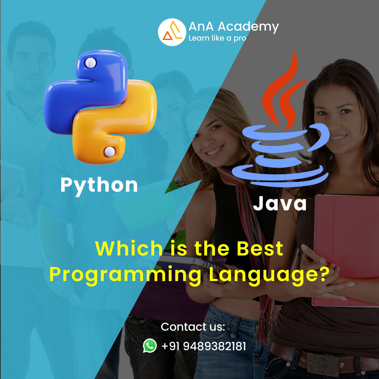 Python or Java by anaacademy on DeviantArt