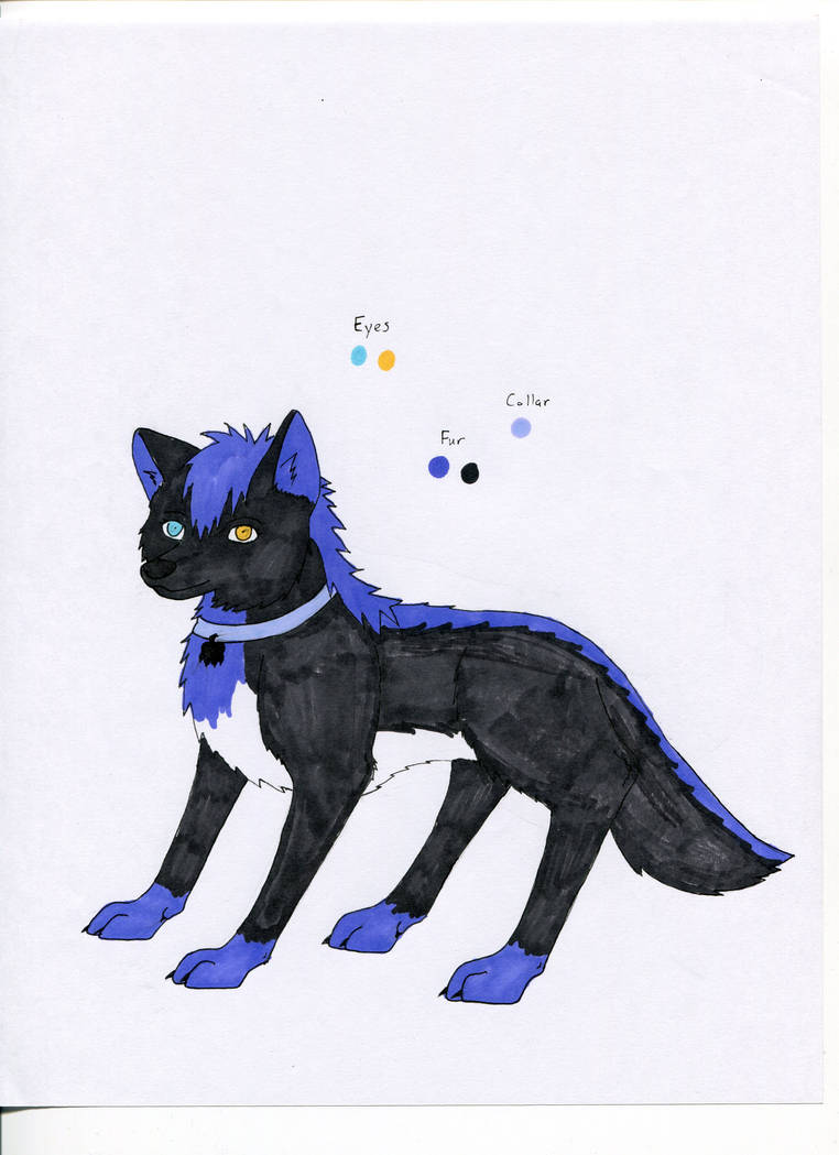 New OC Wolf Ref by twilights-embers on DeviantArt