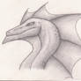 Random dragon head