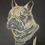 Lucky