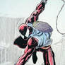 SCARLET SPIDER...again