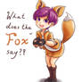 What Does the Fox Say?