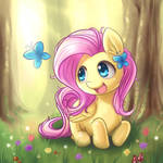 Fluttershy and Butterfly