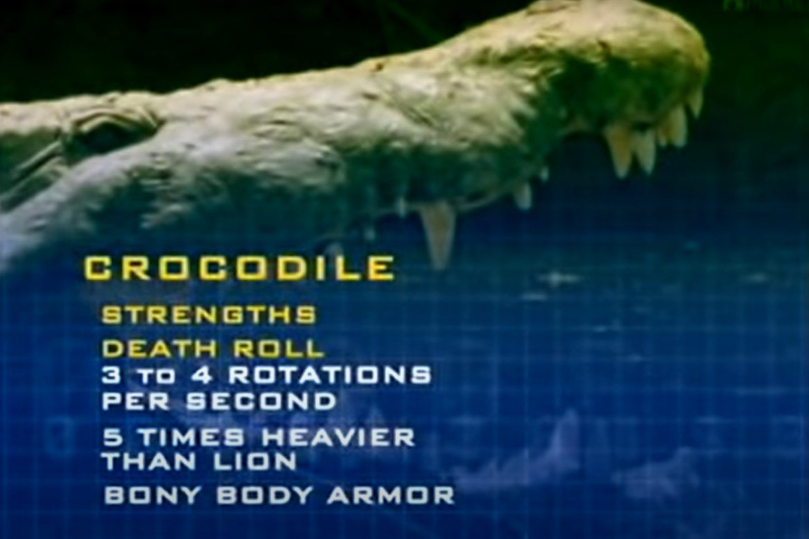 Animal Face Off Nile Crocodile Part 2 by RhinoWing on DeviantArt Animal Face Off Nile Crocodile Part 2 by RhinoWing on DeviantArt