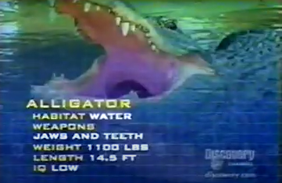 Water animals on atlanteansruleclub - DeviantArt Water animals on atlanteansruleclub - DeviantArt