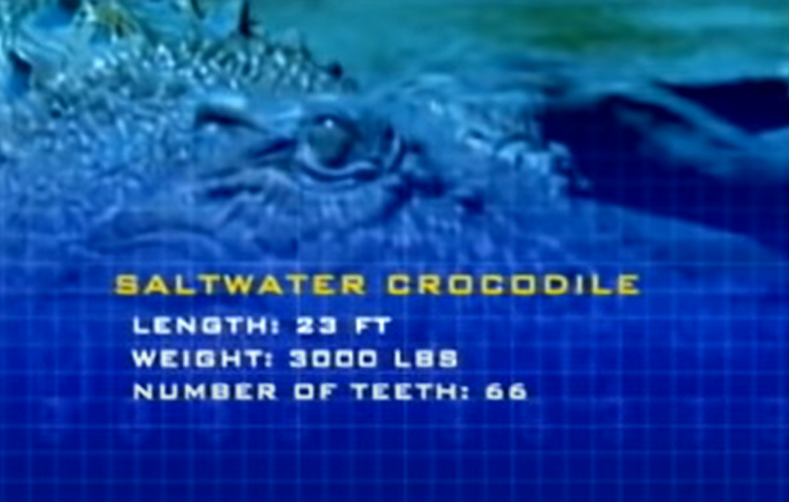 Animal Face Of Salt Water Croc by RhinoWing on DeviantArt Animal Face Of Salt Water Croc by RhinoWing on DeviantArt