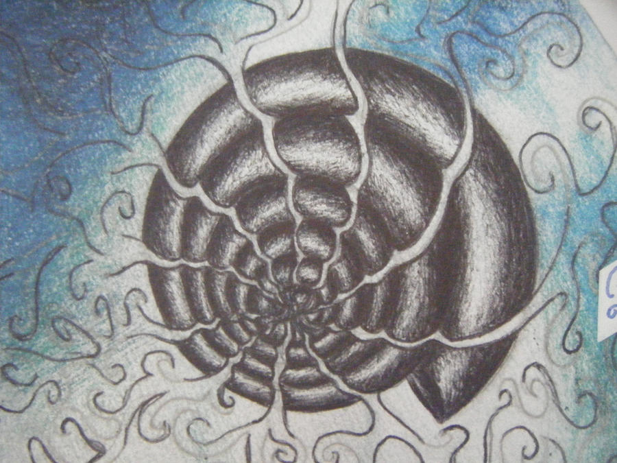 Abstract Shell Graphics Shell abstract by ellen-luff on DeviantArt