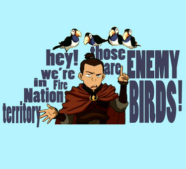 Wouldn't Want a Bird to Hear Us... Sokka t-shirt