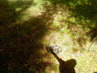 shadow self-portrait...