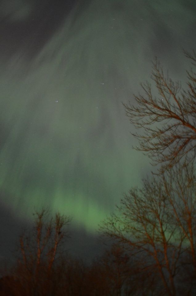 Auroras