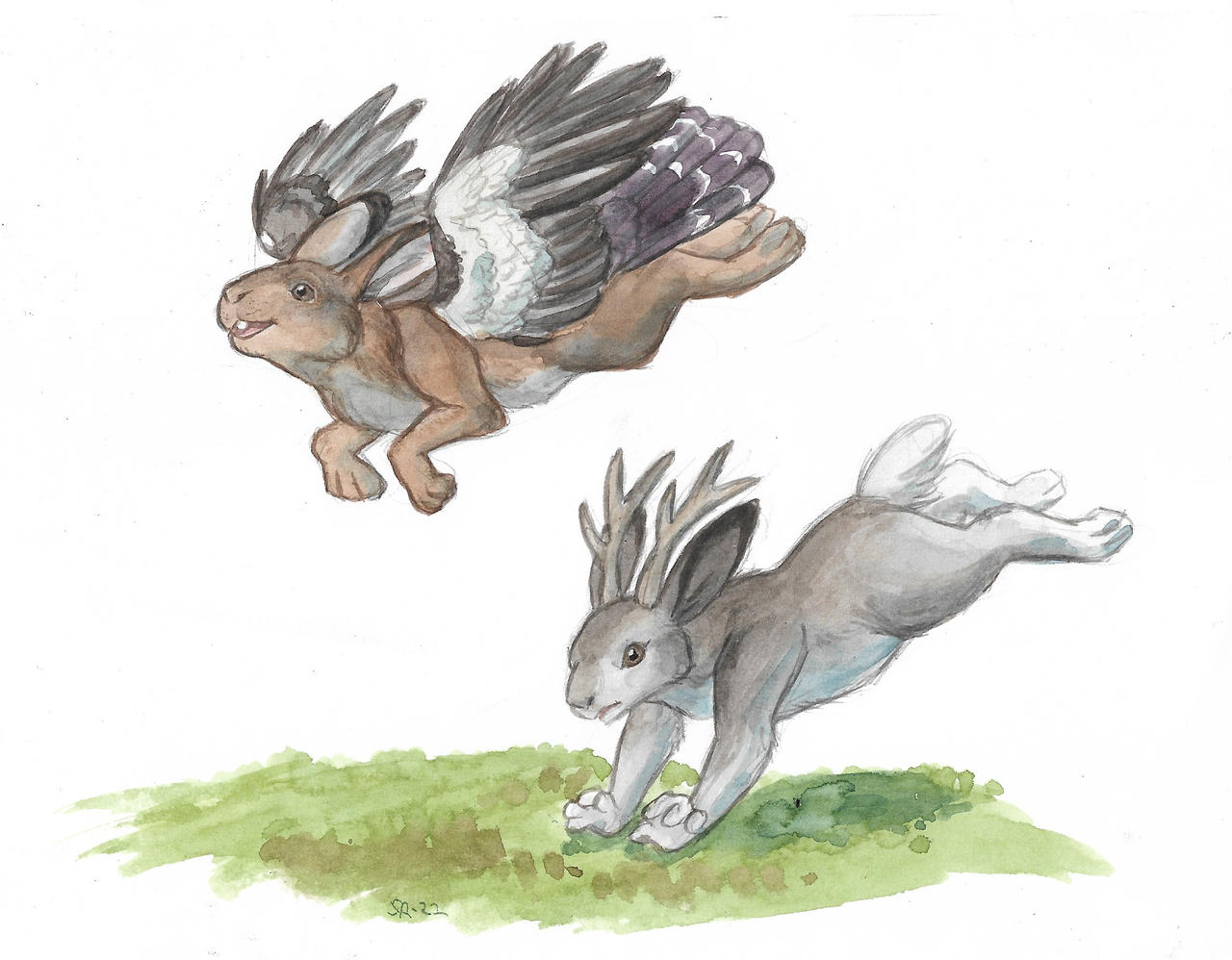 Skvader Folklore Skvader and jackalope by Bjekkergauken on DeviantArt
