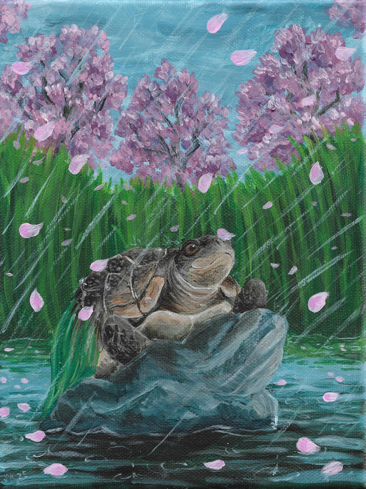 Cherry turtle by Bjekkergauken on DeviantArt