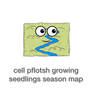 Cell pflotsh growing seedlings season map